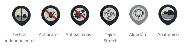 caracteristicas wonder